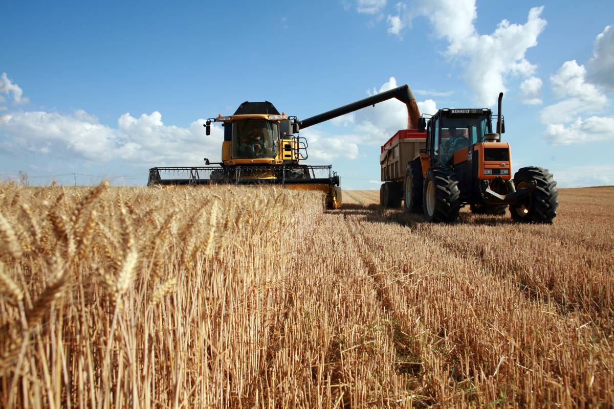 Vente directe de caissettes de viande et livraison en Meurthe-et-Moselle Maxéville