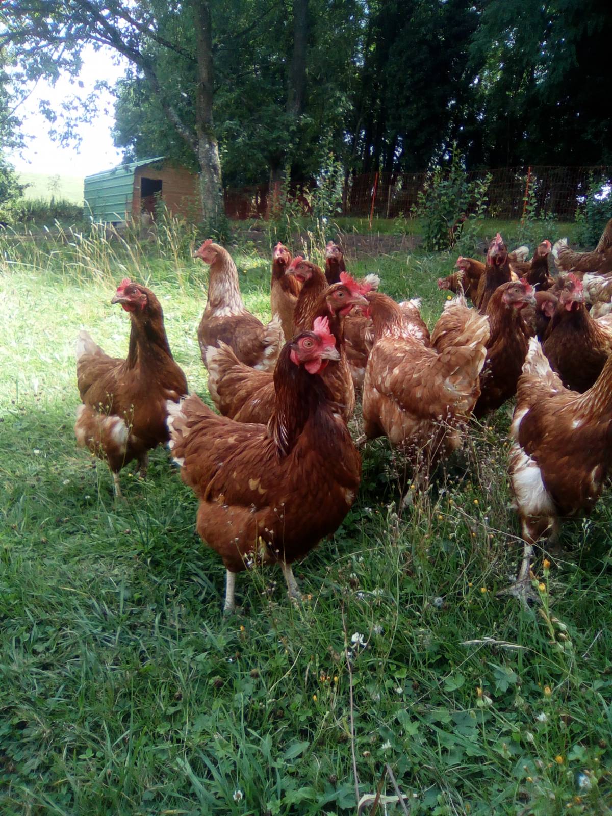 Visitez La Ferme des Salines à Crévéchamps en Meurthe-et-Moselle Maxéville